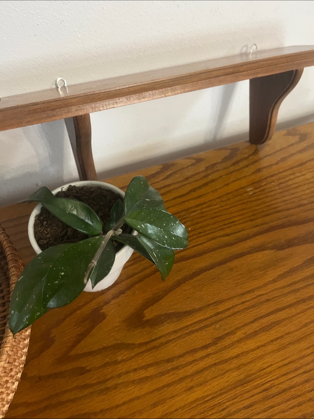 Vintage cottagecore Knick knack wall shelf